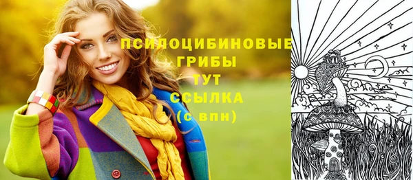 молекула духа Верея